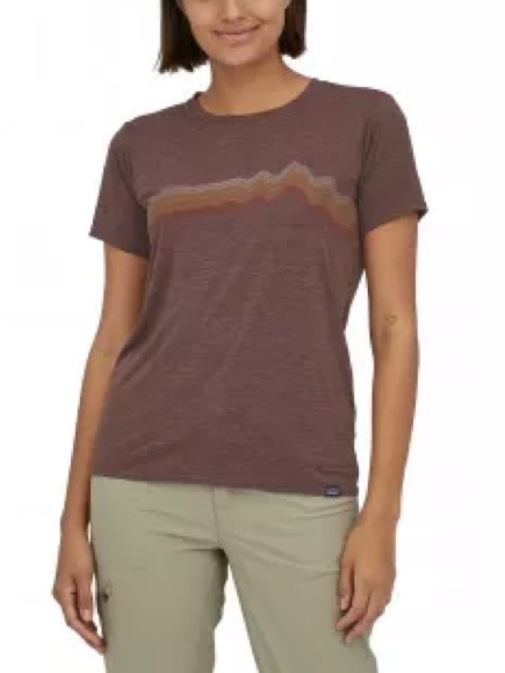 Patagonia Brown Short Sleeve Tee with Rust and Tan Mountain Stripe